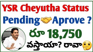 Cheyutha Latest Update 2023  YSR Cheyutha Application Status  YSR Cheyutha Latest Update [upl. by Afira652]