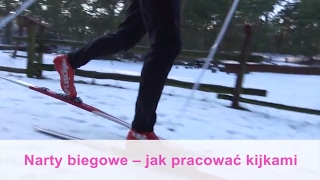 Narty biegowe  jak pracować kijkami [upl. by Greenberg]