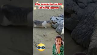 When Animals Messed With The Wrong Opponent fshorts funny comedy viral funnyvideo trending [upl. by Sanchez]