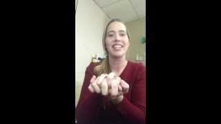 Rock Cycle Hand Motions Review [upl. by Ragan]