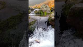 The water flowing sound [upl. by Artemis]