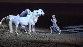 Liberty with 3 horses  Sylvia Zerbini  Night of the Horse 2016  Del Mar National Horse Show [upl. by Niamjneb]