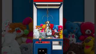 Diesel Grand Prize Winner Claw Machine [upl. by Nnael]