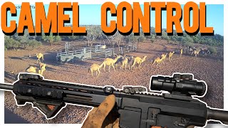 Camel Control Air Mobilised [upl. by Yrrehs]