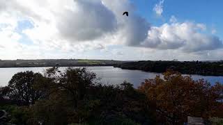 Rivington Reservoir [upl. by Rdnaskela457]