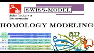 Homology Modelling amp Quality Assessment of Protein 3D Structure by Swiss Model MajidAli2020 [upl. by Zacharia]