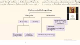 CholinoceptorActivating amp CholinesteraseInhibiting Drugs  Katzung UrduHindi [upl. by Asin]