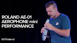 Roland AE01 Aerophone mini Performance and Sounds [upl. by Mauve124]