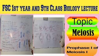 Topic Meiosis lecture prophase part 2 of Meiosis Biology lecture delivered by Maam Samina Khuram 👍 [upl. by Assehc]