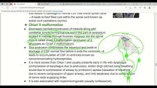 Neurodevelopment amp Embryology Nervous System In First Aid  Lec3 [upl. by Townsend45]