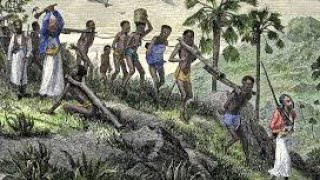 Reparation for Slave Trade An Analysis of the Pros and Cons [upl. by Ramah855]