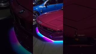 Bmw 840ci with pandem kit and toyota prius both trying to bring back underglow [upl. by Morly]