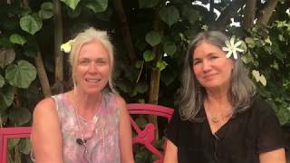 Part 1 Introduction Metaphor and Storytelling  Jodi Krahn interviews Dr Anita Johnston [upl. by Nyleak]