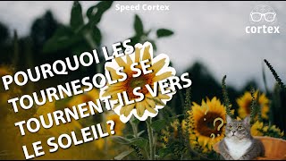 Pourquoi les tournesols se tournentils vers le soleil   Speed Cortex 32 [upl. by Retsek112]