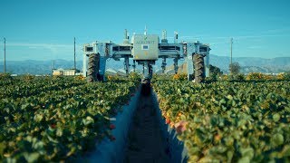 AGROBOT Robotic Strawberry Harvester [upl. by Carder]