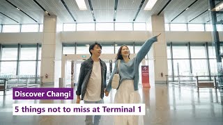 Discover Changi 5 things not to miss at Changi Airport Terminal 1 [upl. by Latsyrhk515]