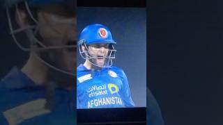 Afganstan won the series 21 Against Bangladesh 🔥 afgvsban [upl. by Enaillil732]