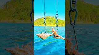 Prawn Fish Hook Fishing prawn 🦐😱 [upl. by Selim]