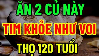 BÁC SĨ MÁCH TUỔI GIÀ ĂN CỦ NÀY ĐỐT CHÁY CHOLESTEROL MÁU LÀM SẠCH GAN THẬN [upl. by Alfi]