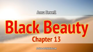 Black Beauty Audiobook Chapter 13 [upl. by Yhtak322]