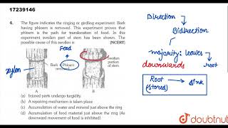 The figure indicates the ringing ro girdling experiment Bark having phloem is removed [upl. by Silden]