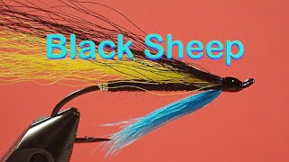 Beginners Fly Tying Series Easy Atlantic Salmon Patterns  the Black Sheep [upl. by Jennee]