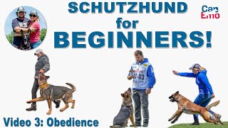 Schutzhund For Beginners Obedience [upl. by Hpsoj]