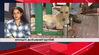 സമീപത്തുള്ള തുണിക്കടയിലെ ആളുകള്‍ പട്ടിക്കുഞ്ഞുങ്ങളെ വെള്ളക്കെട്ടിലേക്ക് വലിച്ചെറിഞ്ഞു [upl. by Hirst]