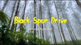 Black Spur Drive  Melbourne Victoria Australia 4K [upl. by Bendicta]