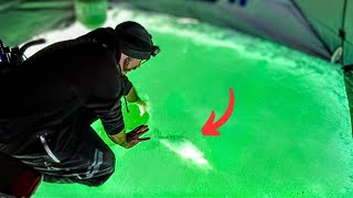 CLEAR ICE FISHING Whitefish amp Burbot UNDERWATER FOOTAGE [upl. by Aikemot]