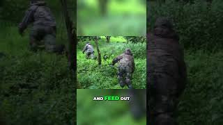 Thrilling Warthog Hunting Adventure Epic Shots in the Meadow [upl. by Caldera]