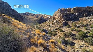 Whats Out There I Found Interesting Caves Hidden In This Desert Canyon [upl. by Matthia178]