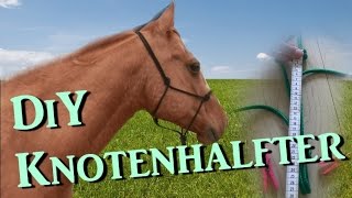 DiY Knotenhalfter ganz einfach selber machen  mit Diamantknoten  Tutorial  Serenity Horses [upl. by Nicolis]