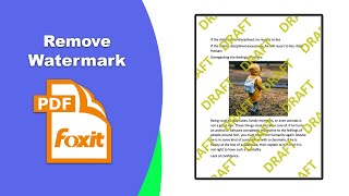 How to remove all the watermarks permanently from a pdf file in Foxit PDF Editor [upl. by Adkins211]