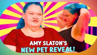 1000Lb Sisters Amy Slaton Welcomes New Pet Amid Weight Loss and Relationship Struggles [upl. by Ennahs]