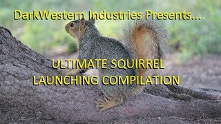 Ultimate Squirrel Launching Compilation [upl. by Ginder384]