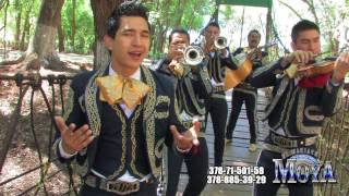 TE HUBIERAS IDO ANTES DE JULION ALVAREZ Y SU NORTEÑO BANDA VERSION MARIACHI MOYA [upl. by Aikim]