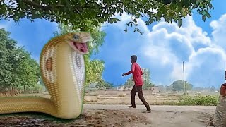 saamp ka hamla new HD video Anaconda snake video [upl. by Aleyam89]