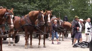 bornholm i videoklip [upl. by Atiuqehc]