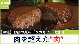 ヘルシー＆栄養満点「肉を超えたquot肉quot」 今年２月に誕生！代替肉『タカキビミート』に注目【現場から生中継】（2024年2月26日） [upl. by Cordle115]