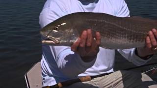 Modern Fishing  Islamorada Tournament Pt 2  Outdoor Channel [upl. by Burkitt]