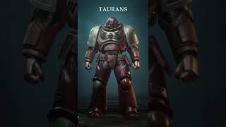 All Playable Astartes Chapter Armor in Warhammer 40K spacemarine2 gaming warhammer40k [upl. by Wit284]