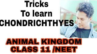 Tricks to learn the examples of CHONDRICHTHYES NCERT CLASS 11 ANIMAL KINGDOM IMP FOR NEET [upl. by Anirrak773]