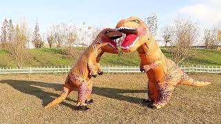 Inflatable dinosaur costume [upl. by Eliades736]