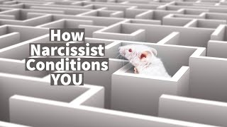 How Narcissist Conditions YOU [upl. by Ahtrim]