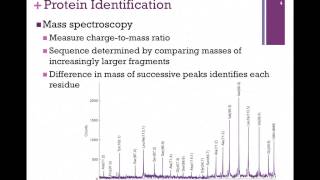 023Mass Spectroscopy [upl. by Nohsad]