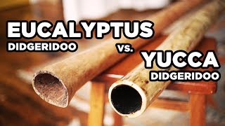 Eucalyptus vs Yucca Didgeridoo Comparison [upl. by Jadd210]