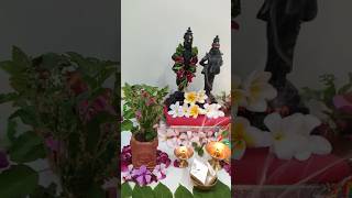 Kartik ekadashi devuthniekadashi kartikiekadashi shorts ytshorts tulsivivah trendingfestival [upl. by Aibat]