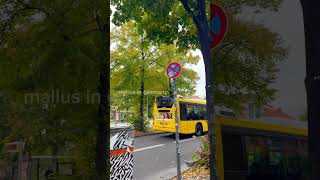 Parking in a bus lane or on a road designated for buses in Germany can lead to significant fines [upl. by Sill]