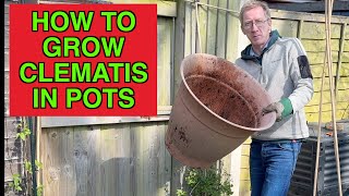 How To Grow Clematis In Pots [upl. by Jariv]